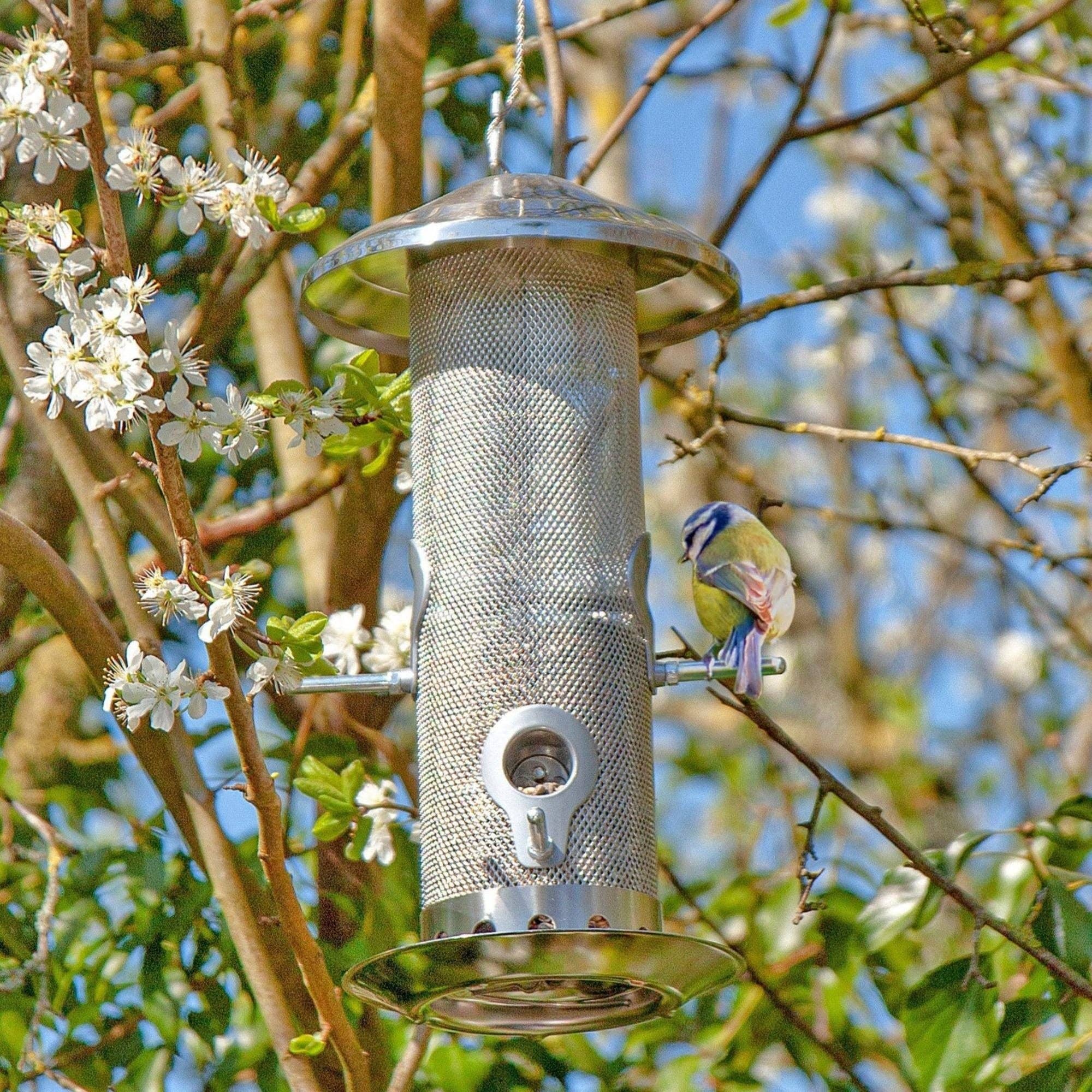 Green Feathers – wholesale Bird feeder – Small Stainless Steel Bird Feeder1