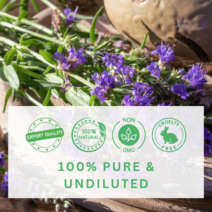 Aromachology - Wholesale Essential oil - Hyssop Essential Oil2