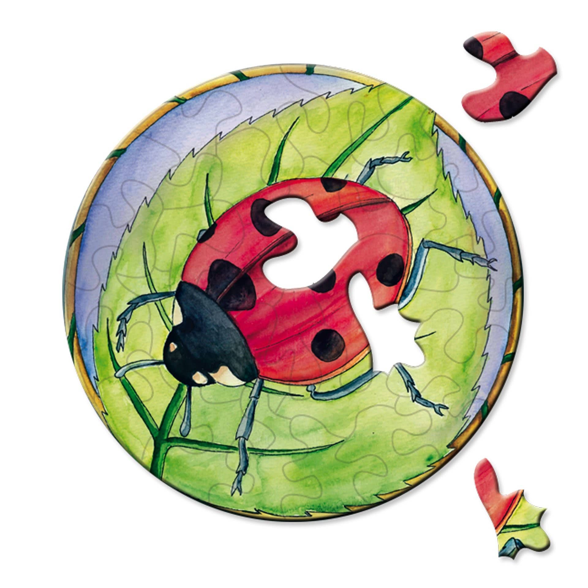 Bärenpresse – wholesale Puzzle – Adult – Picoli Ladybird Puzzle1