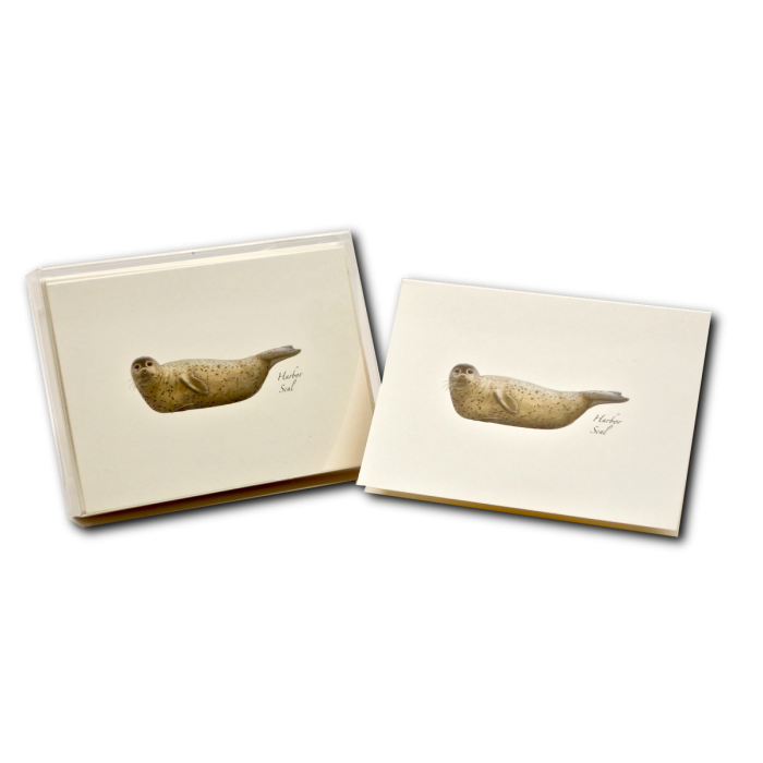 Earth Sky + Water - Wholesale Stationery/Notecard Set - Harbor Seal2