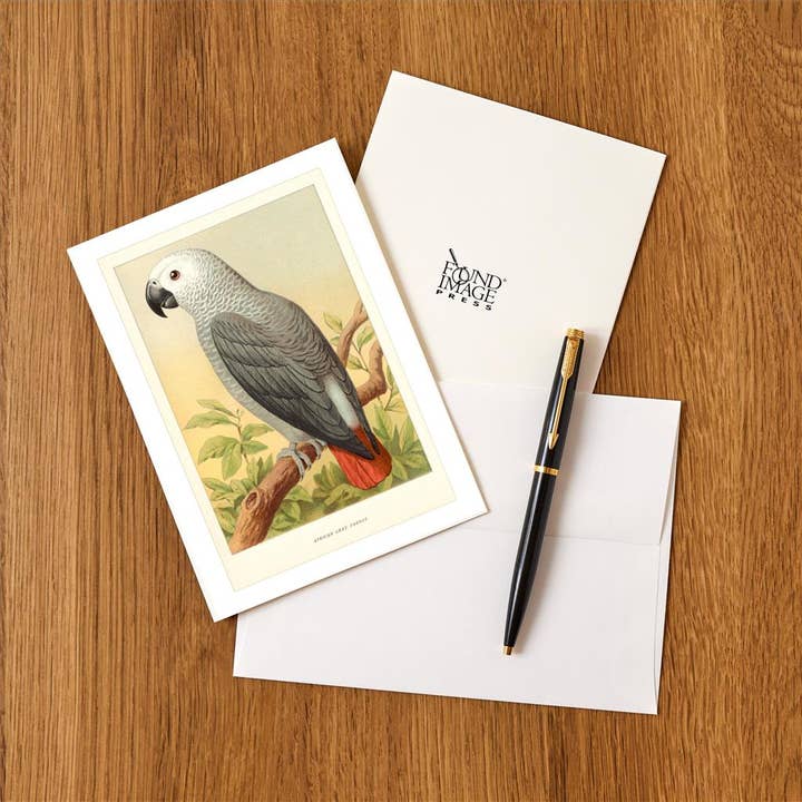 Found Image Press – wholesale Kontorsmateriel/Notecard Set – Gratulationskort BD-99 Afrikansk grå papegoja
