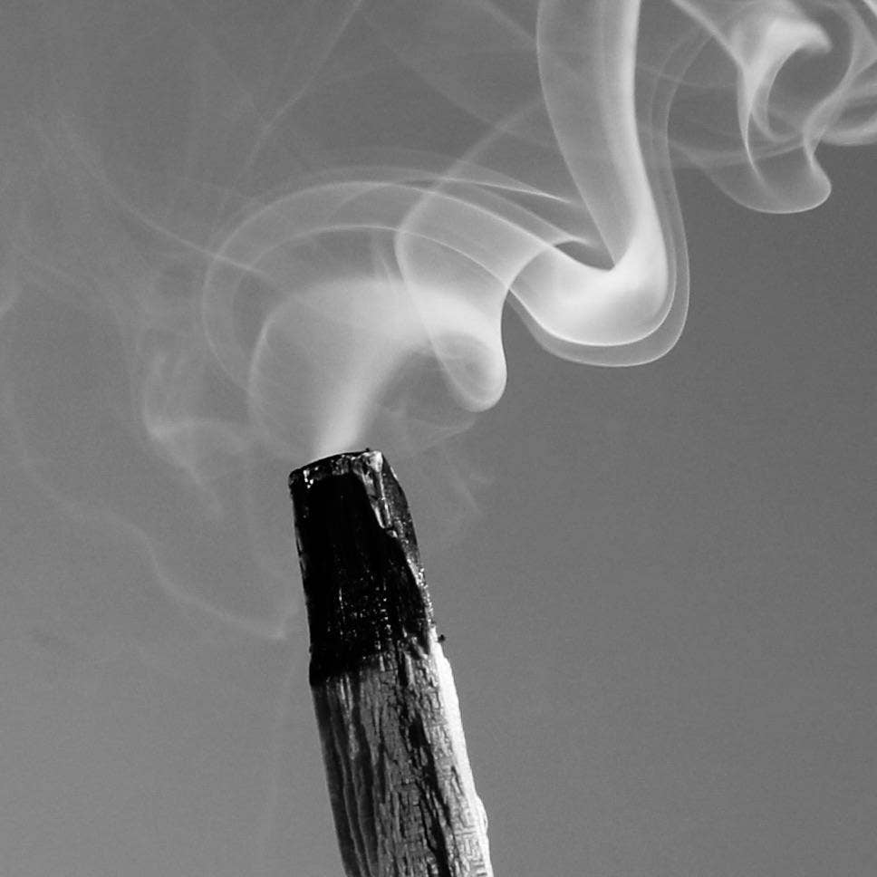 MIZU - Wholesale Fragrance oil - Palo Santo All Natural Perfume Oil2