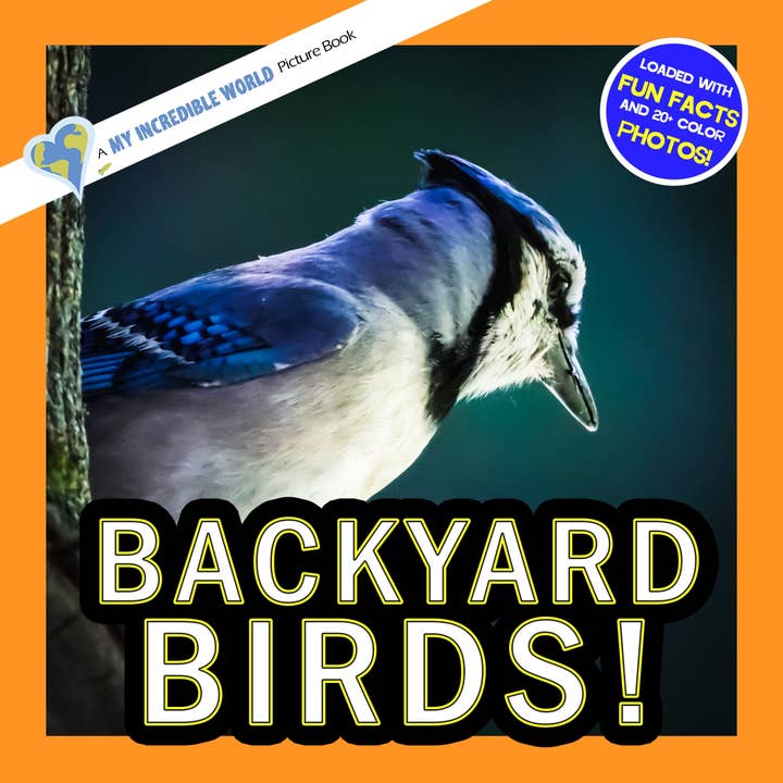 Backyard Birds! A My Incredible World Picture Book for Children for wholesale by My Incredible World