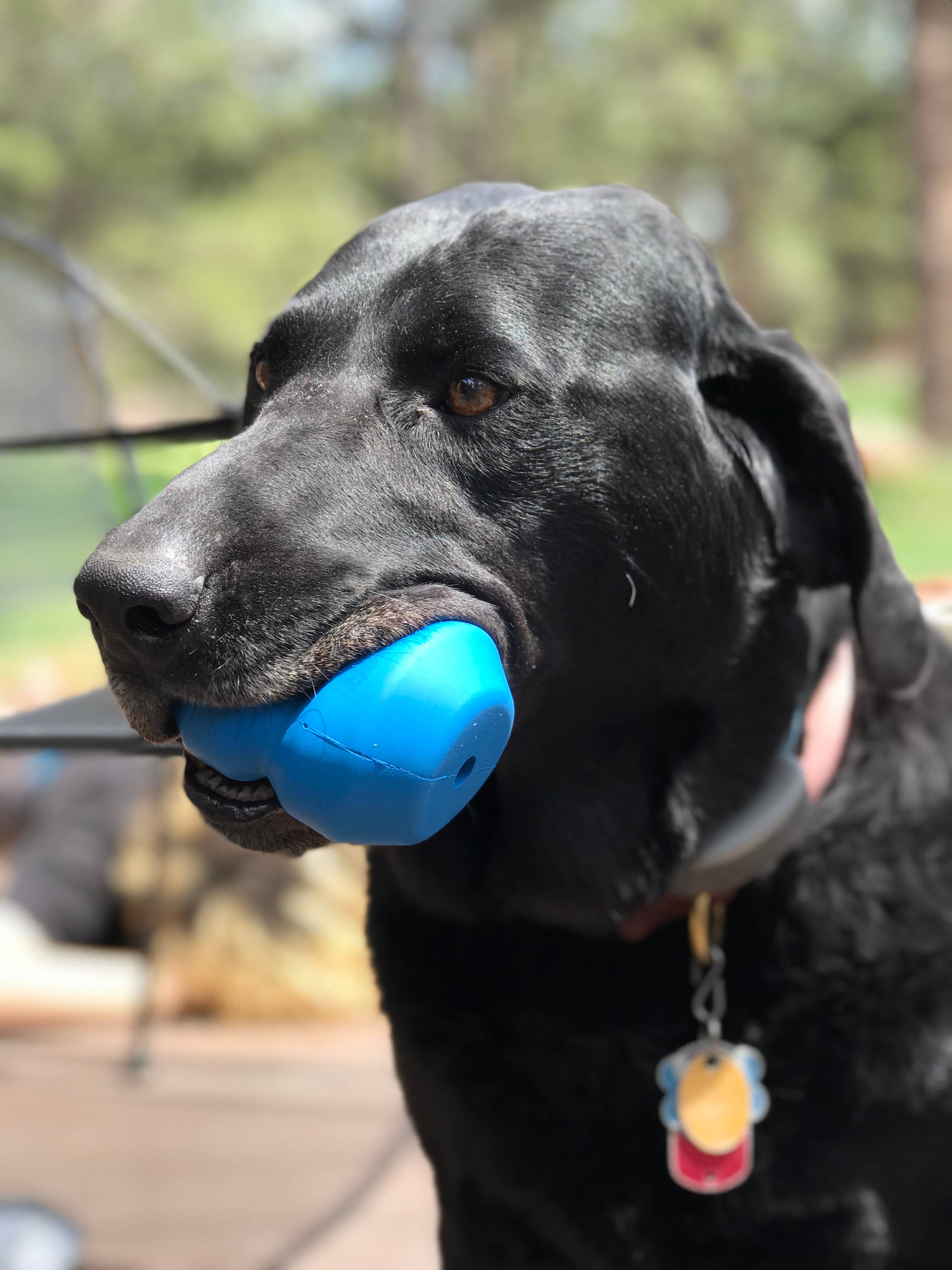 Blue DoubleTrouble- Chew Toy - Treat Dispenser - Large for wholesale on Faire2
