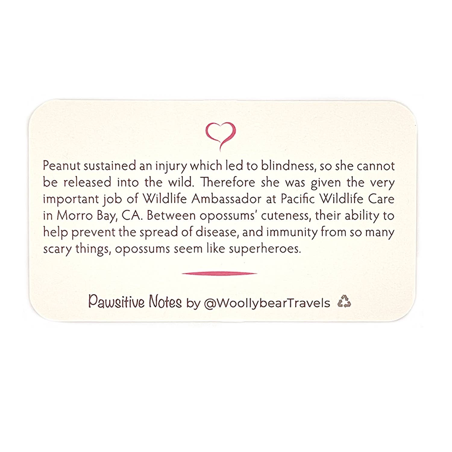 Woollybear Travels - Wholesale Stationery/Notecard Set - Pawsitive Notes- Rescued Opossum (Lunch Box Notes)3