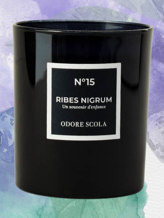 RIBES NIGRUM SCENTED CANDLE for wholesale by Odore Scola