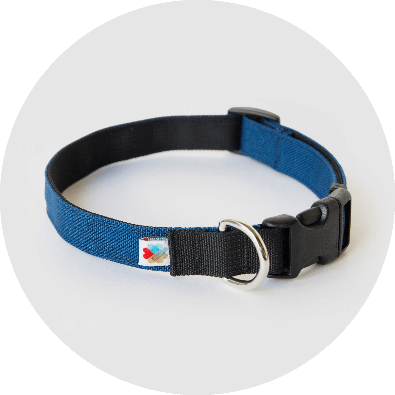 Wildebeest - Wholesale Pet Collar - Dog - Funston Classic Dog Collar1