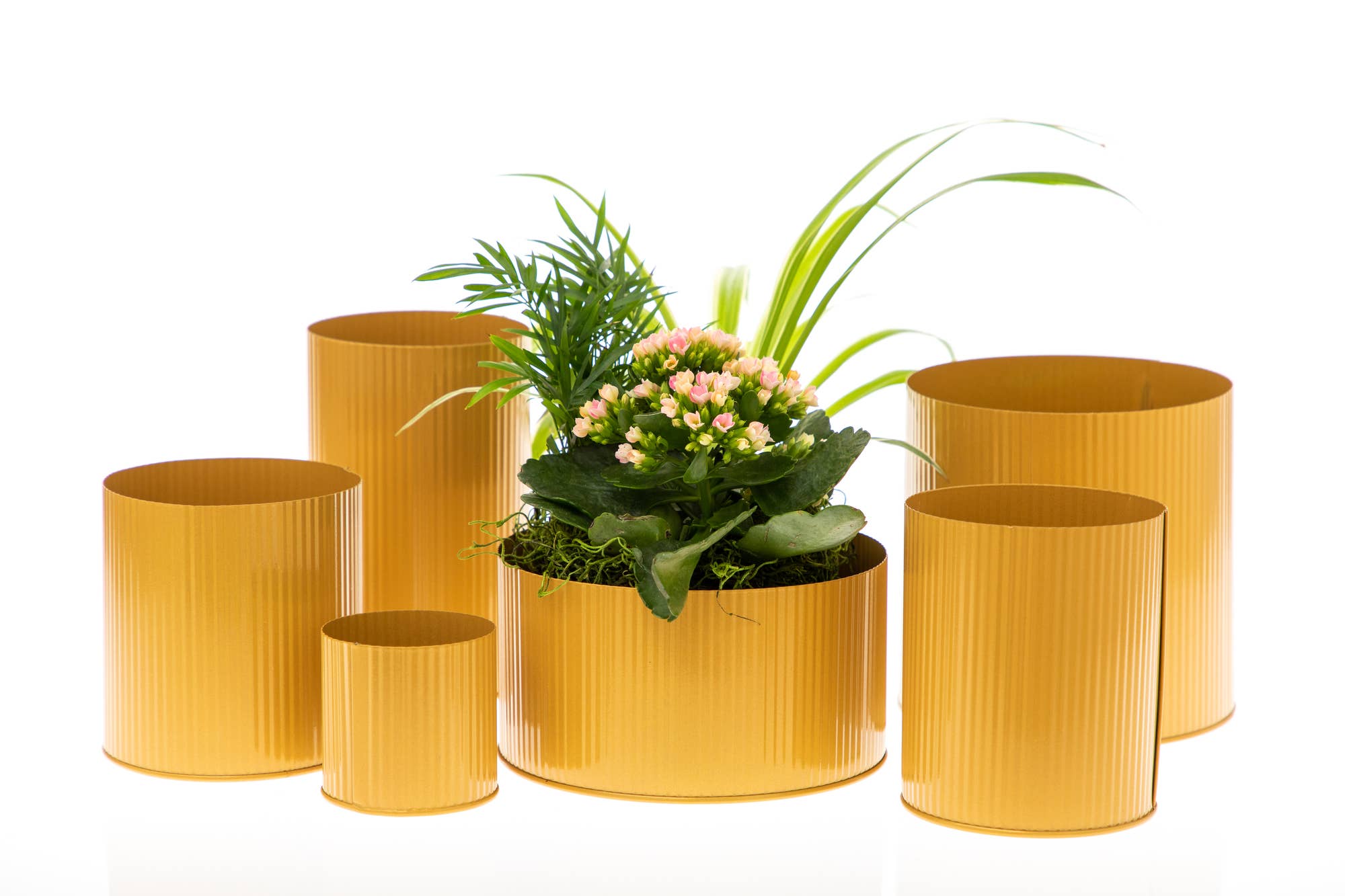 UNIMIX FLORAL – wholesale Vas – Galvaniserad plåtkruka för bröllop, evenemang och vardag 7,6x7,6 cm1