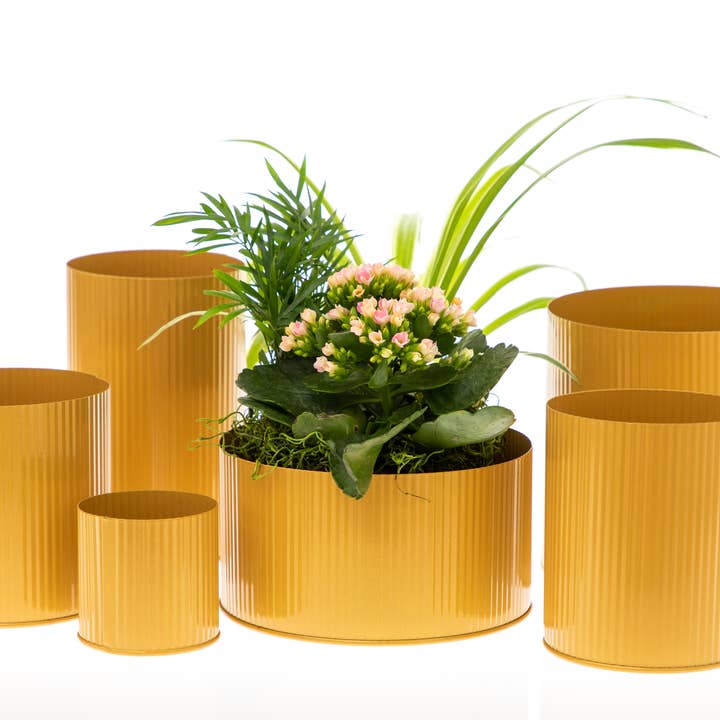 UNIMIX FLORAL – Engroshandel Vase – Tin Galvaniseret Pot Bryllup, Begivenhed & Hverdag 4.5 „x5.5"10