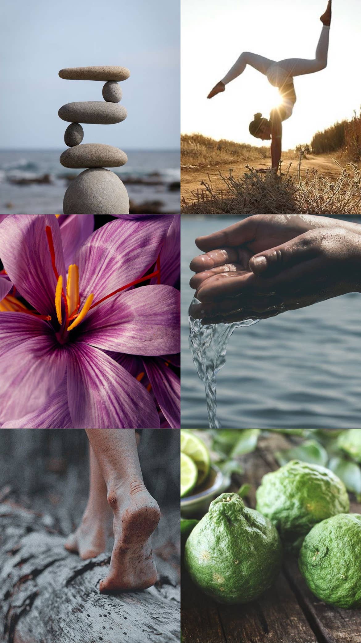 Shy Wolf Candles – wholesale Jar/filled candle – Temperance Tarot Candle - Bergamot, Saffron, Violet3