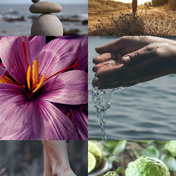 Shy Wolf Candles – wholesale Jar/filled candle – Temperance Tarot Candle - Bergamot, Saffron, Violet3