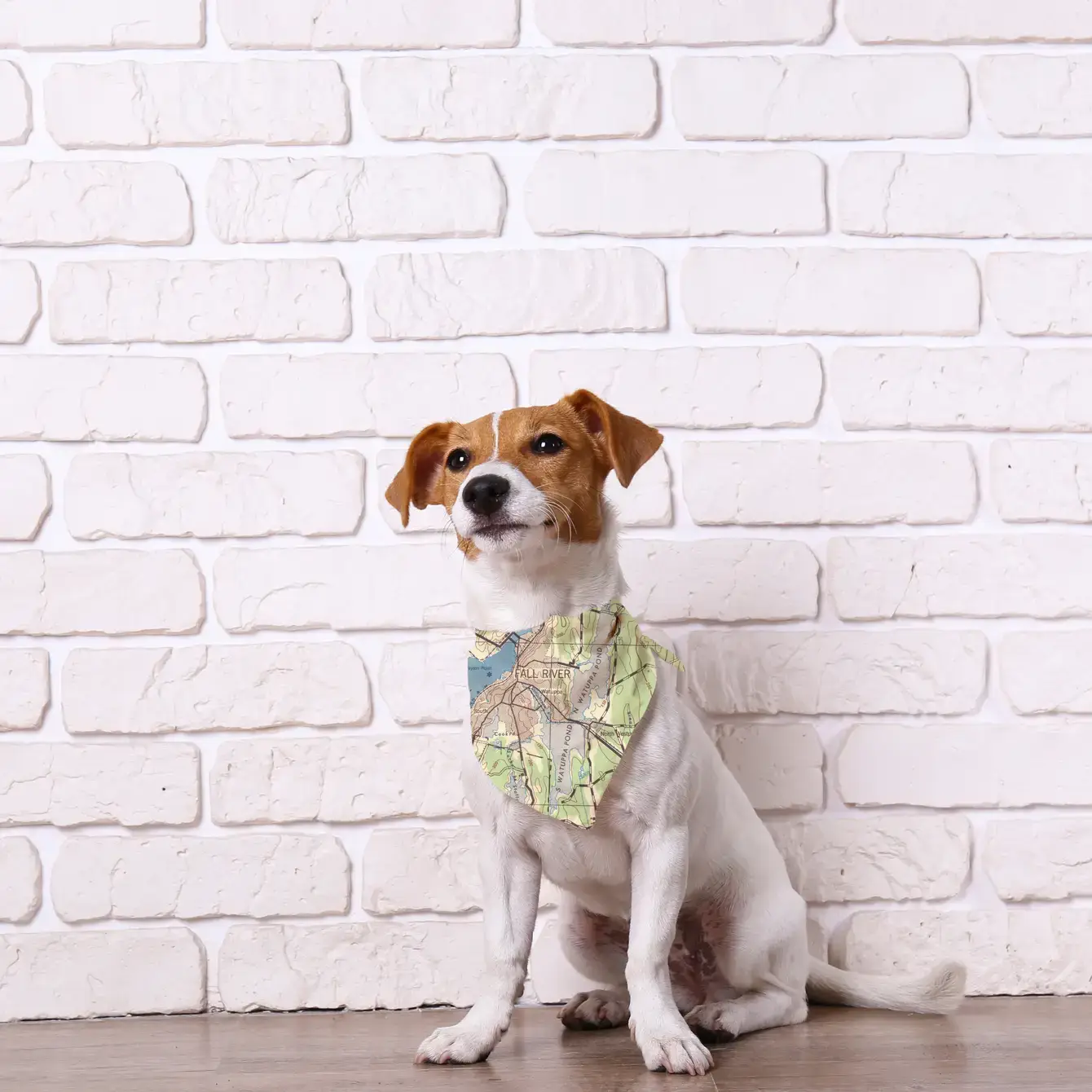 Maritime Tribes LLC - Wholesale Pet Bandana - Dog - Bandana  aka Dogdana -Doggie Bandana2