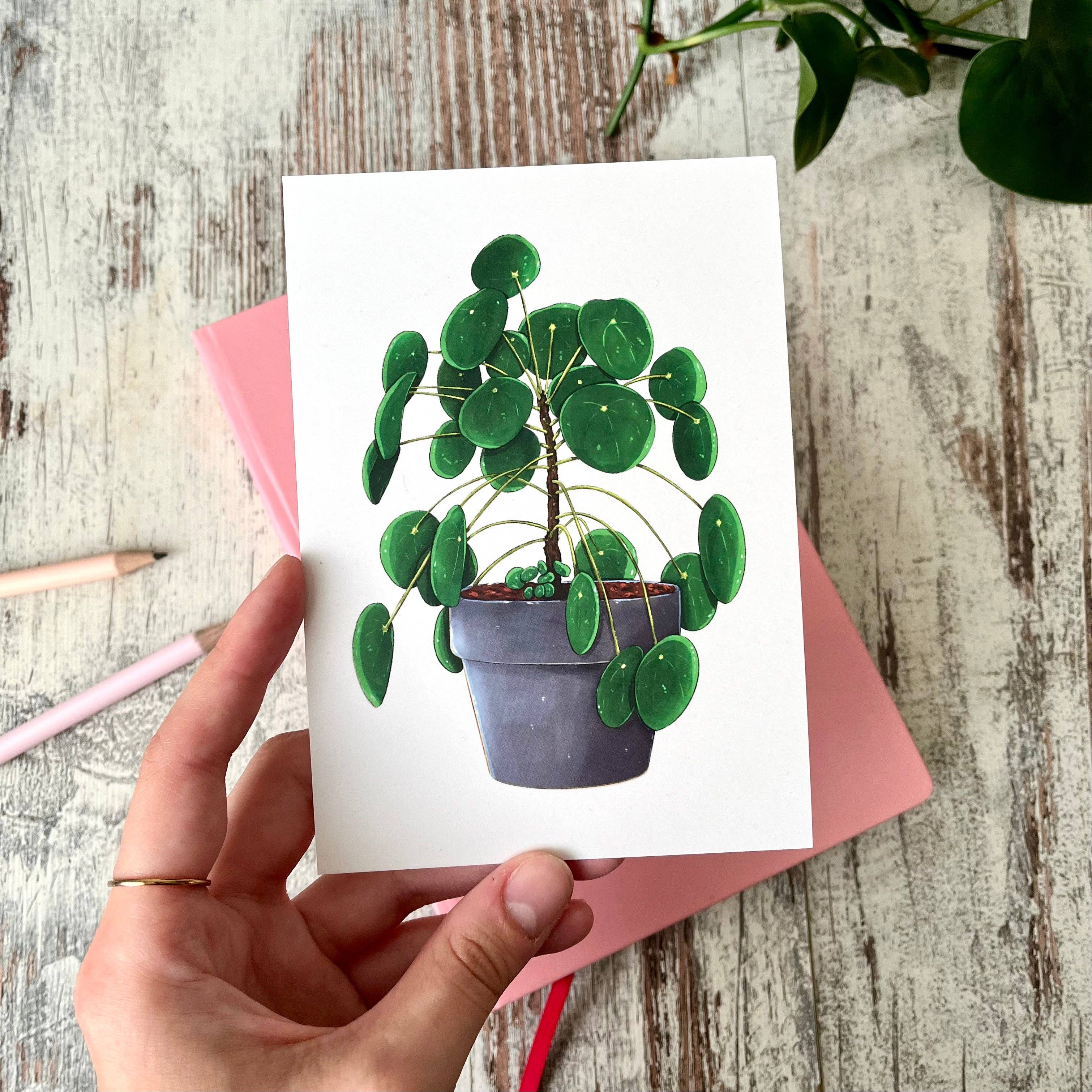 plantyintroverts - Vendita all'ingrosso Cartoline - Cartolina/stampa A6 - Pilea Peperomioides in vaso1