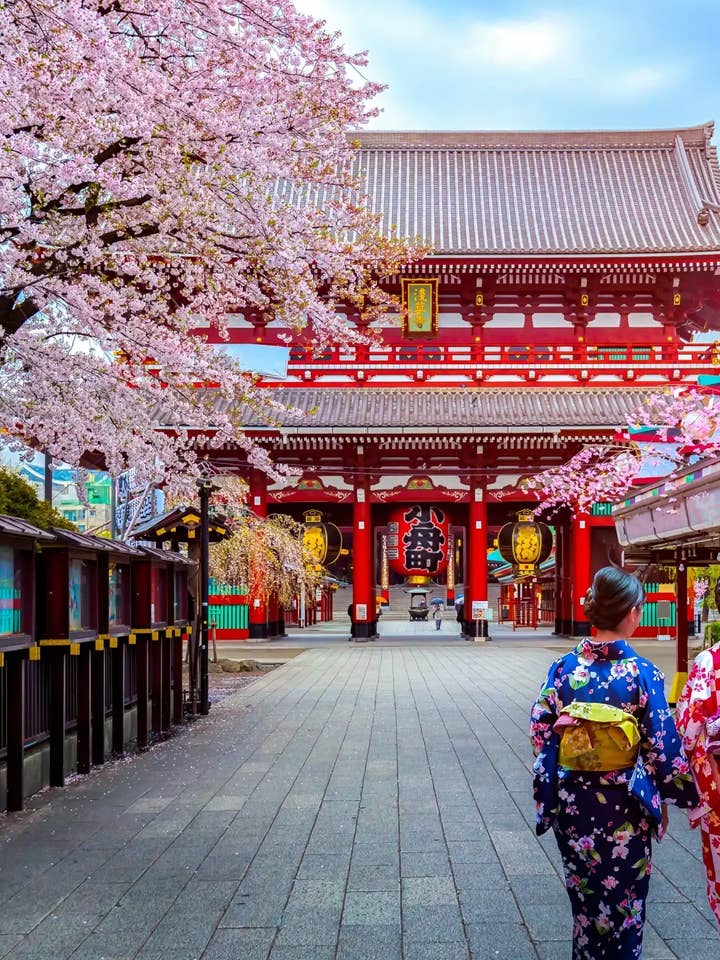 Fondants de cire Balade à Tokyo pour la vente par LNDECO