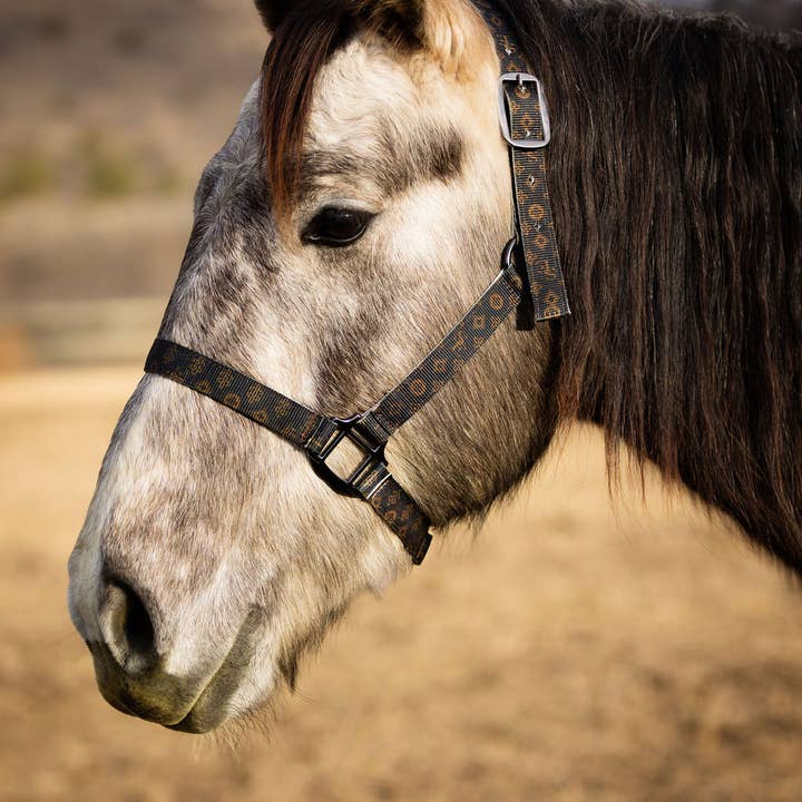 Schulz Equine - Wholesale Horseback Riding Gear - Nylon Halter - Horse Size34