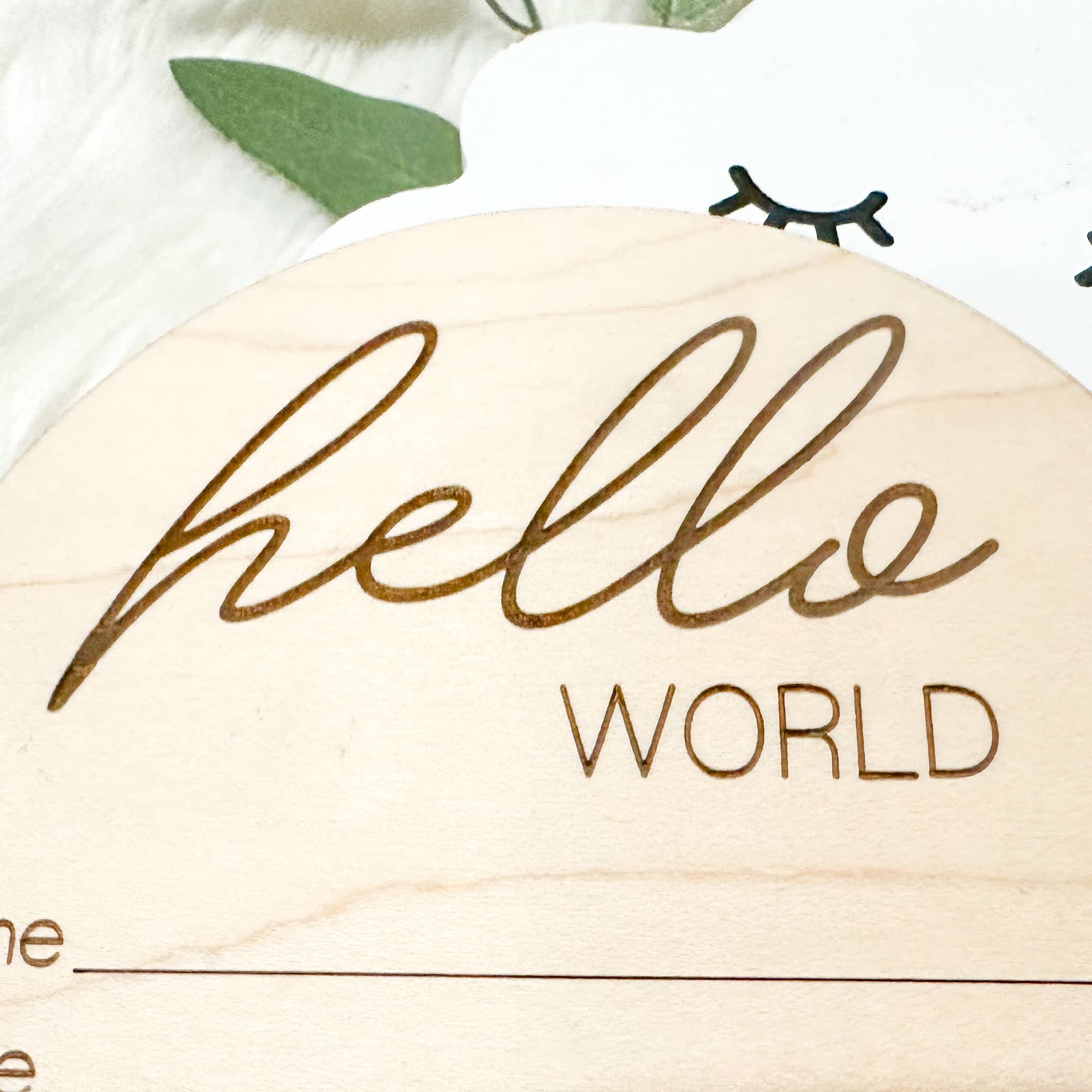 The Olive Branch - Vendita all'ingrosso Opera d'arte/Souvenir - Bambini e neonati - Cartello inciso «Hello World Stats»5