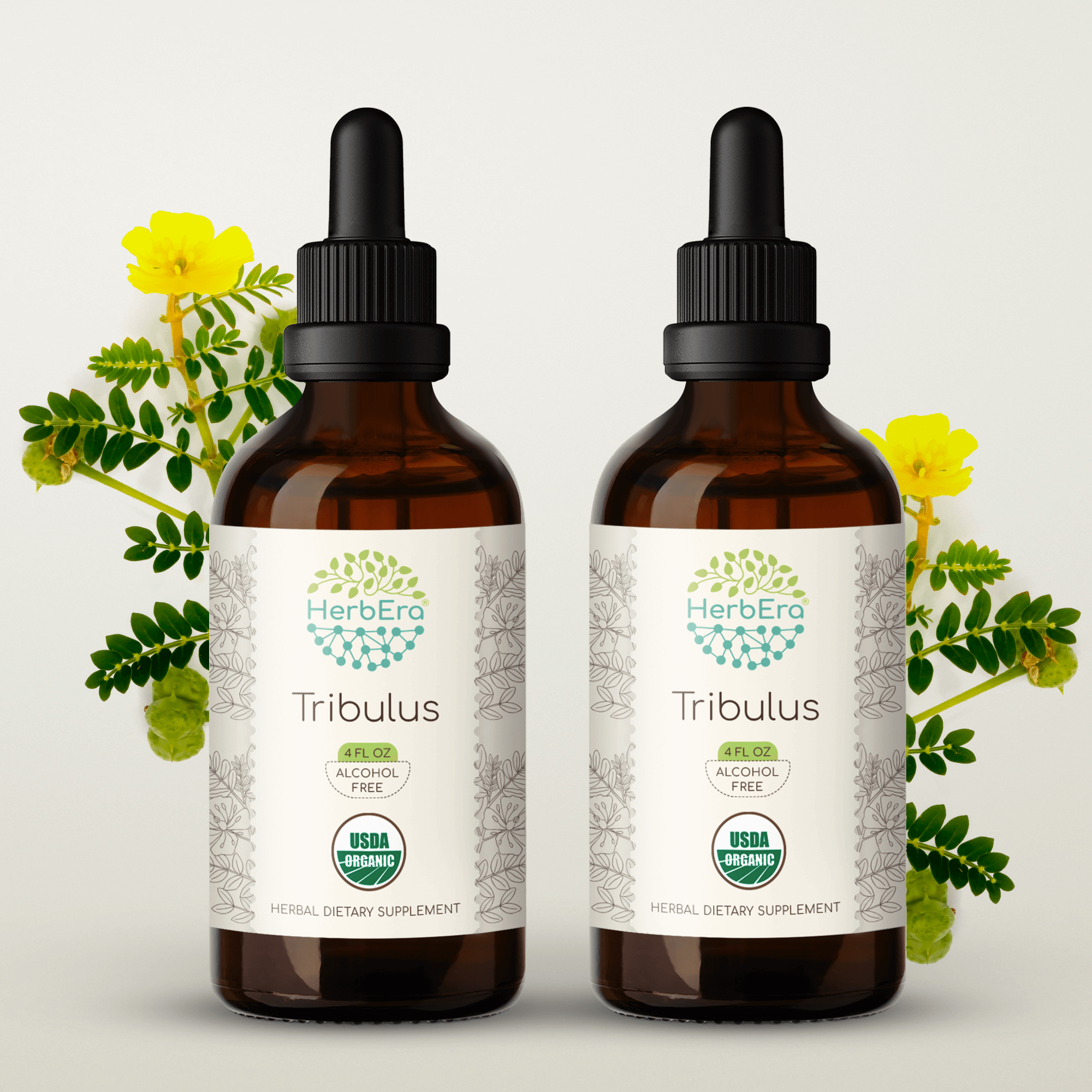 HerbEra - Wholesale Tincture - Tribulus Tincture5
