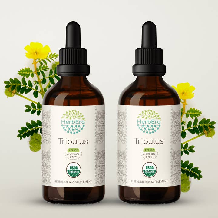 HerbEra - Wholesale Tincture - Tribulus Tincture5