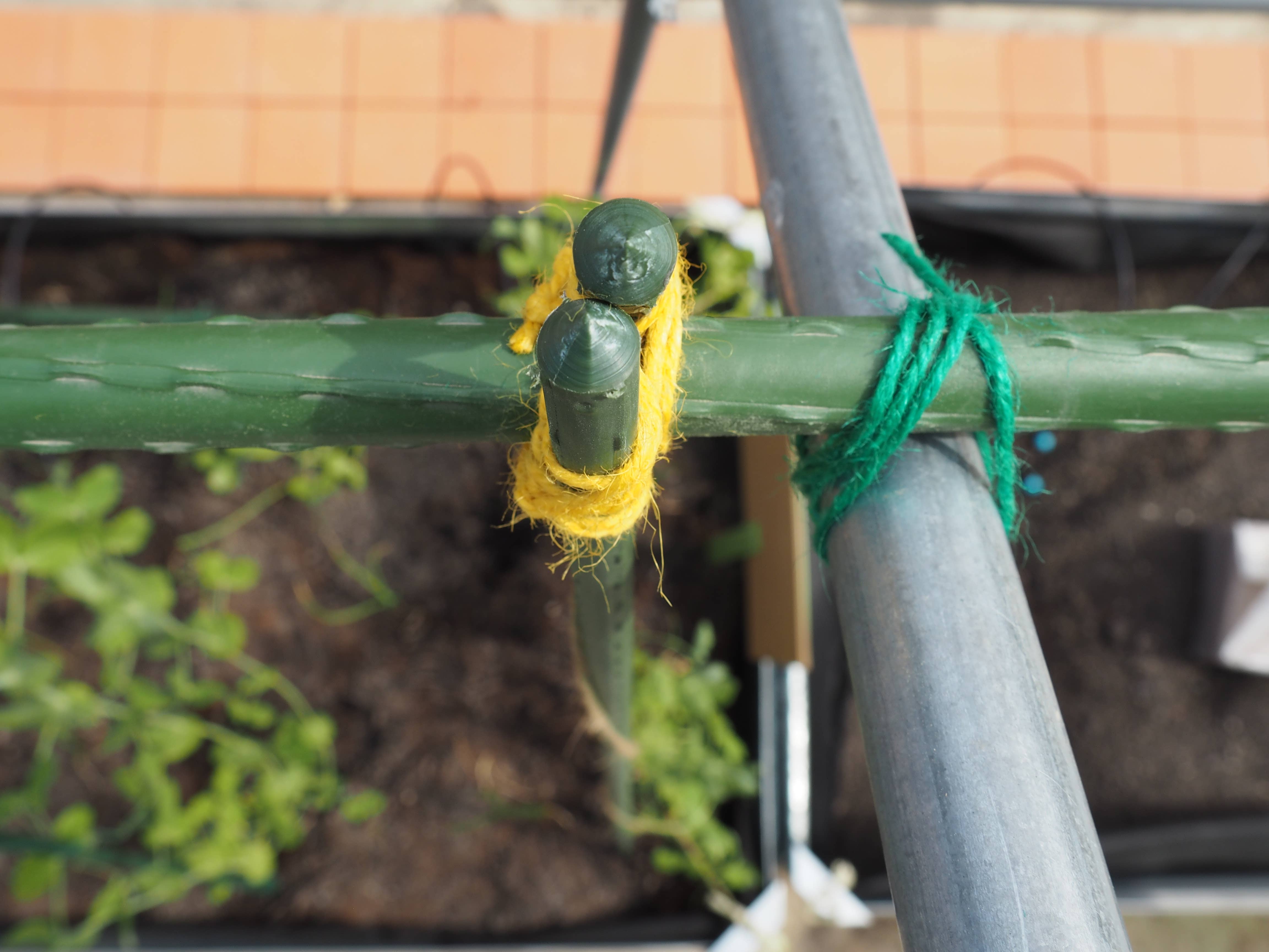 JARDIN Y NATURA OUTDOOR & GARDEN PRODUCTS SL - Wholesale Garden Tool - Green jute rope 50 meters - YUTIE GREEN4