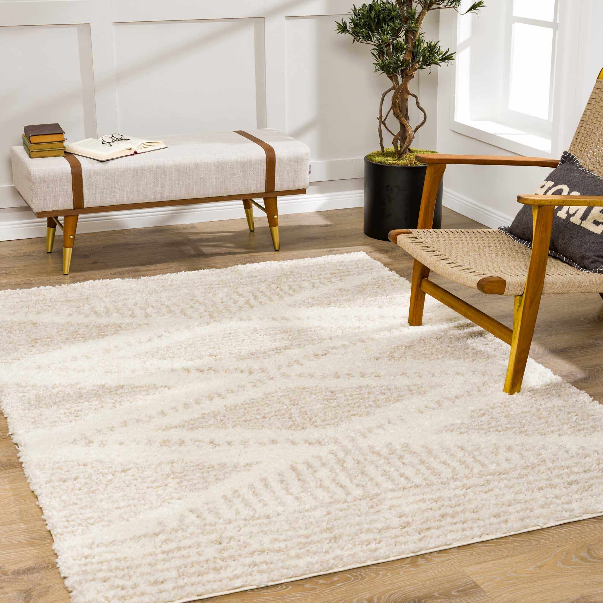 Hauteloom - Wholesale Area Rug - Trunding Plush Area Rug in Light Beige12