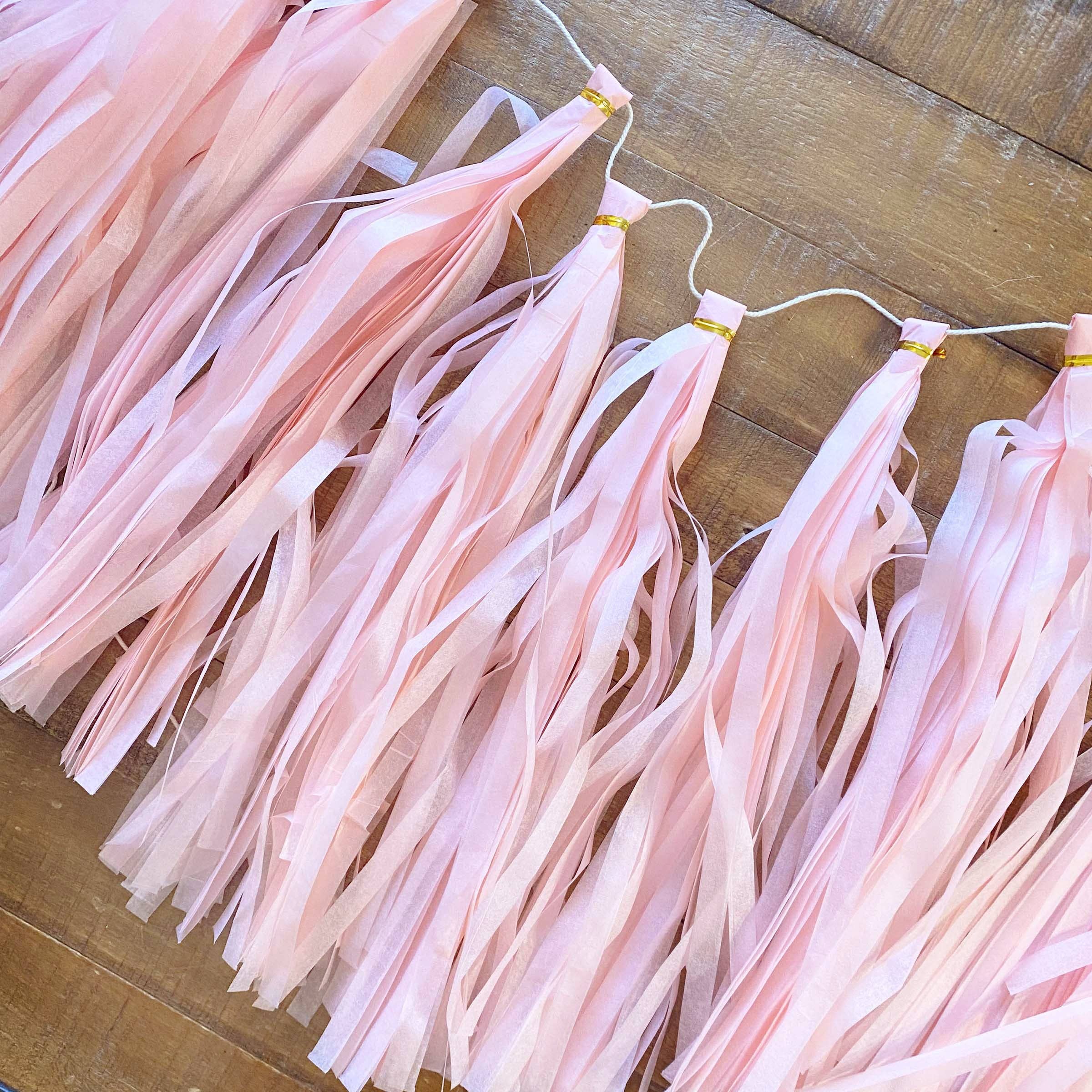 Ellie's Party Supply - Wholesale DIY Craft Kit - Pastel Pink Paper Tassel Tail - Tassel DIY Garland Kit1