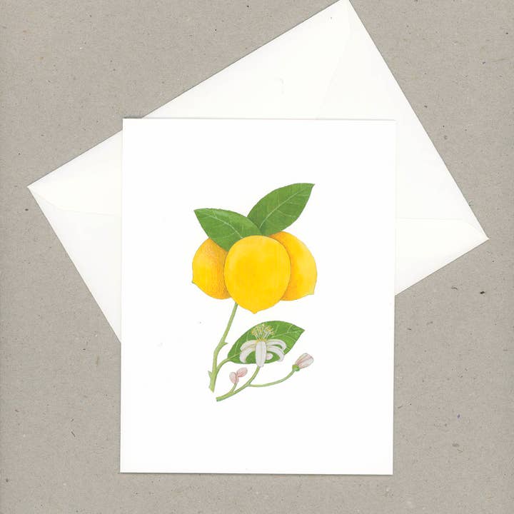VMazzoni - Wholesale Stationery/Notecard Set - Boxed Lemon Note Card Set of Six2