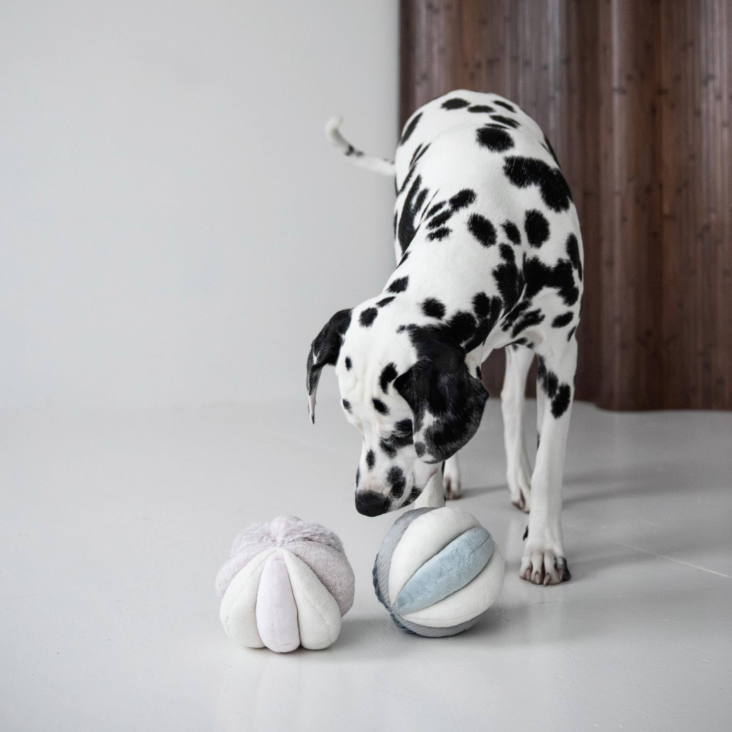 Lambwolf EU - Vendita all'ingrosso Giocattolo - Cani - TOTO giocattolo arricchente per animali2