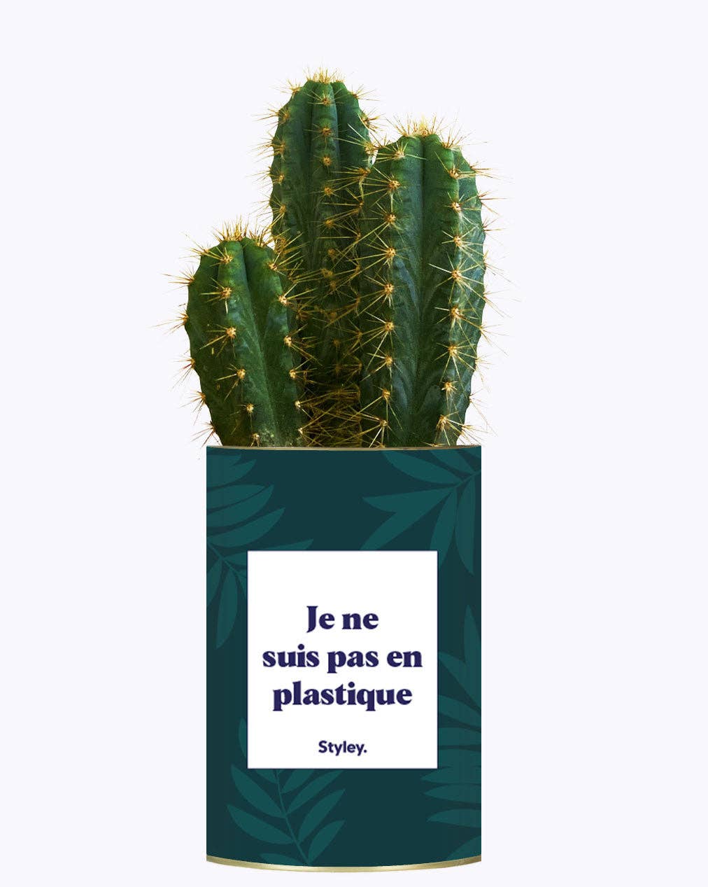 Styley - Wholesale Live Plant - Je Ne Suis Pas En Plastique - Cactus1