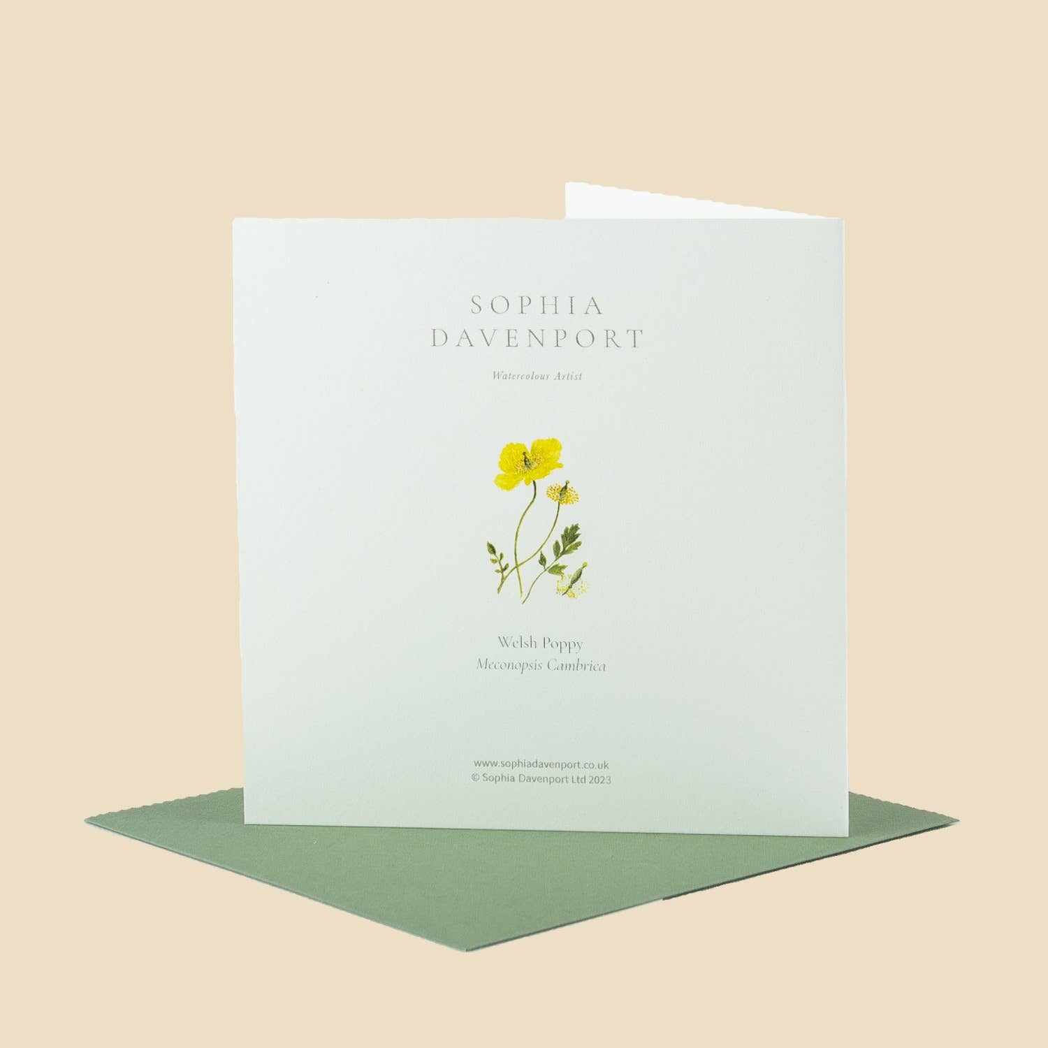 Sophia Davenport - Wholesale Everyday Greeting Card - Wildflower Greeting Cards and Notelets53