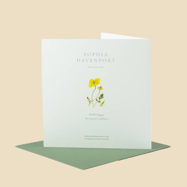 Sophia Davenport - Wholesale Everyday Greeting Card - Wildflower Greeting Cards and Notelets53
