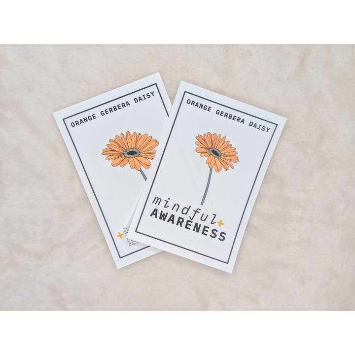 Poppy+Lily - Wholesale Meditation supplies - Mindful Awareness Mini Kit4
