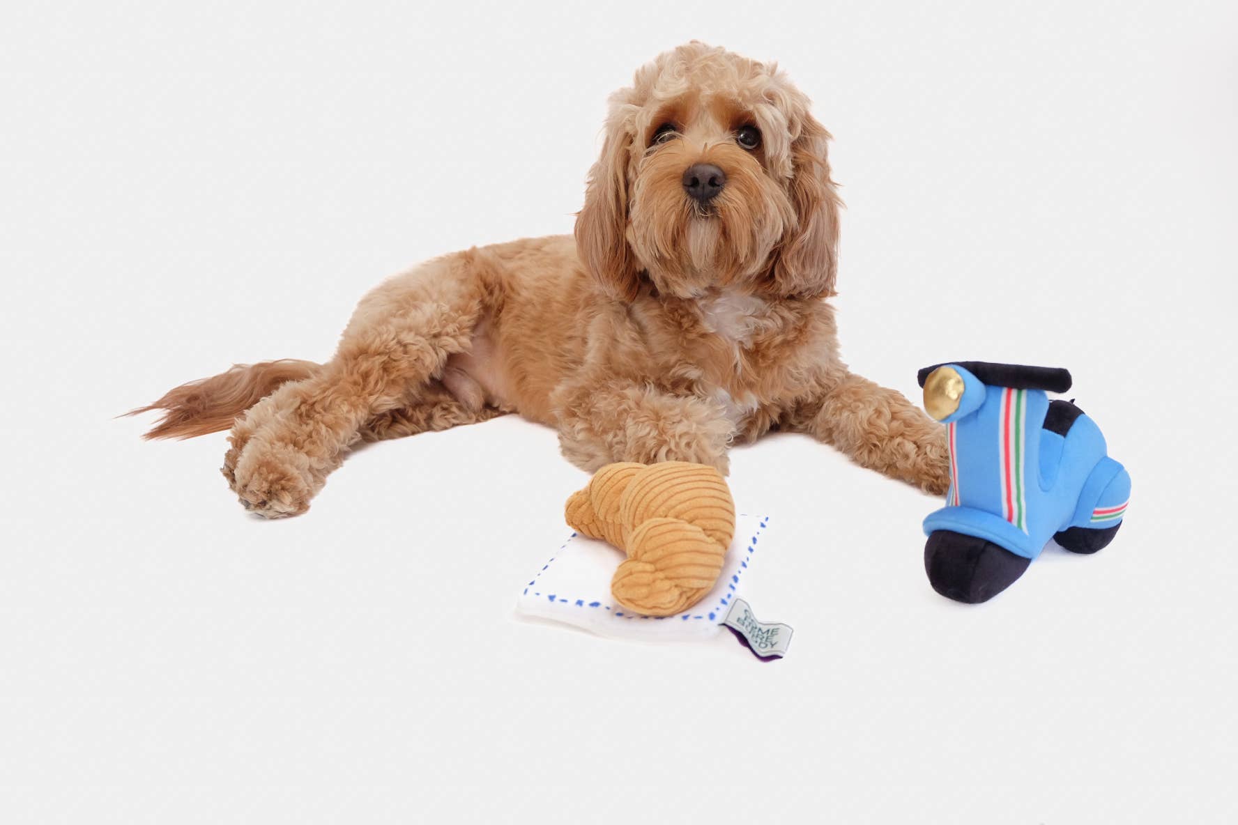 Come Here Buddy - Wholesale Pet plush toy – Dog - Croissant Nose Work Toy / Enrichment Toy5