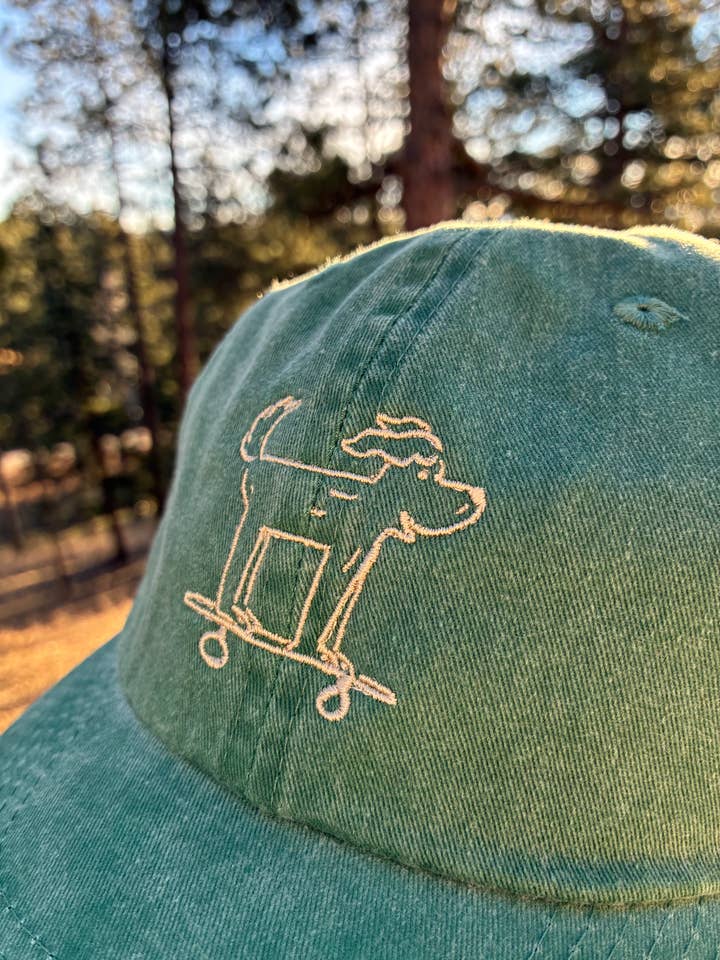 Skateboarding Hund Broderet Far Hat for engroshandel hos Buffalo Mountain Print + Supply