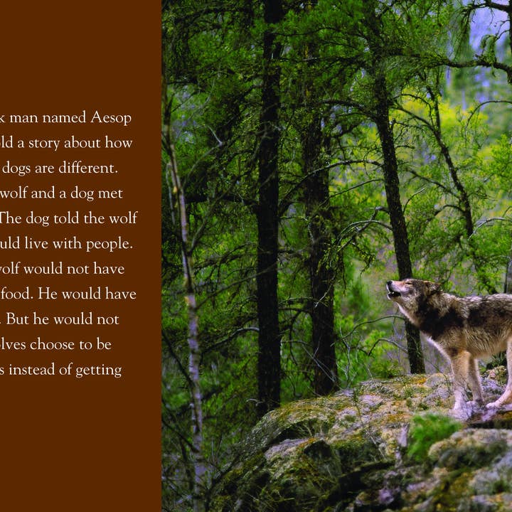 The Creative Company - Wholesale Nature & Outdoors - Amazing Animals: Wolves1