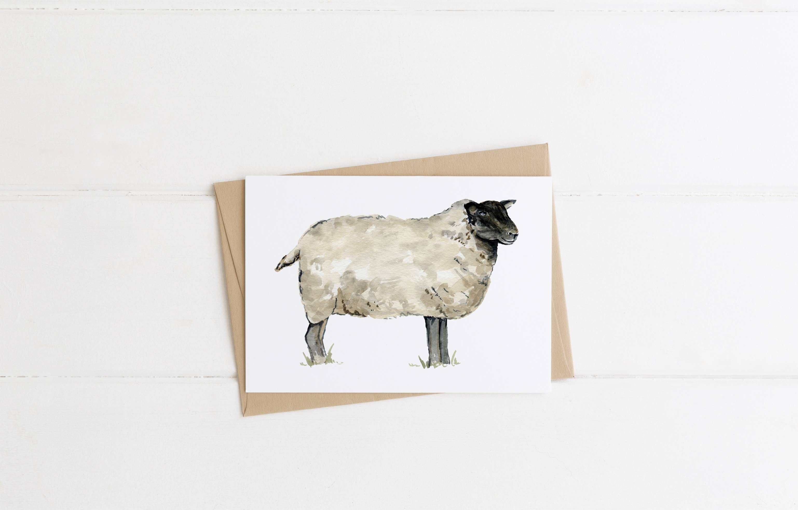 The Cranberry Finch - Wholesale Everyday Greeting Card - Sheep Greeting Card0