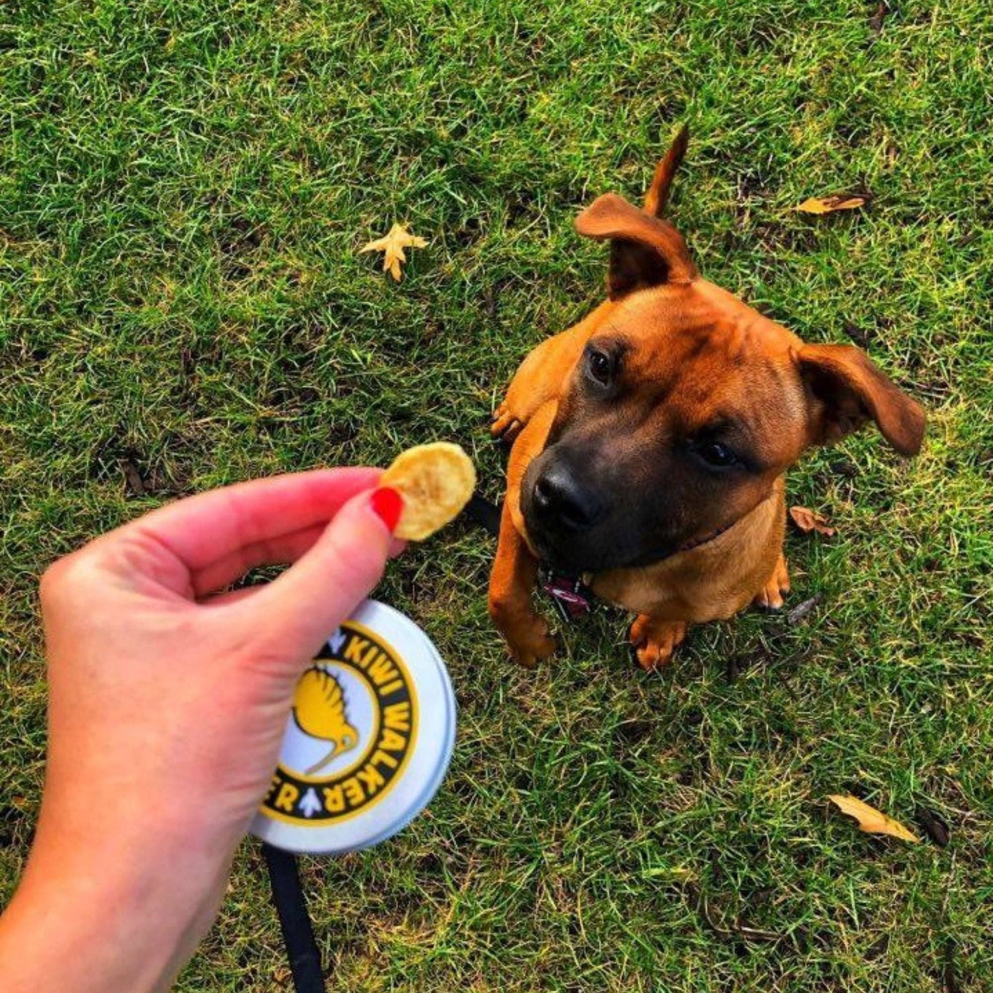 IGSM LTD - Wholesale Pet Treats - Dog - KIWI Walker DOG Treats - Freeze Dried Fruit7