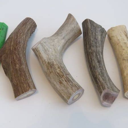 6" Medium Antler for wholesale by Pack approved dog treats