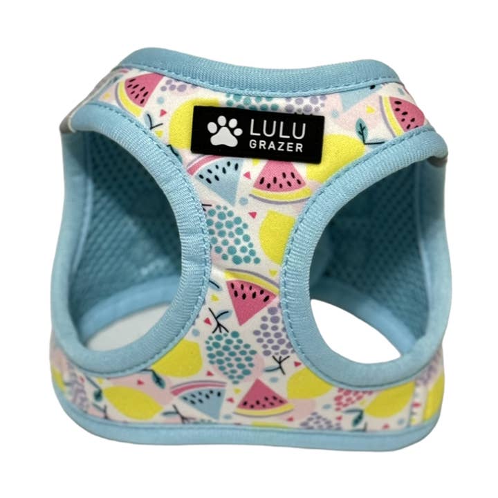 Harnais Step in - Tutti Frutti pour la vente par Lulu Grazer