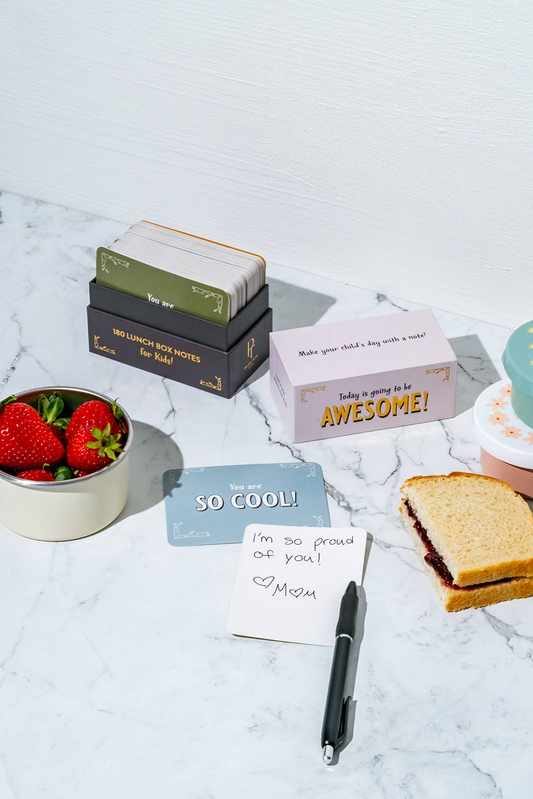 Paige Tate & Co. - Wholesale Briefpapier/indexkaartenset - Lunchboxnotities voor kinderen (terug naar school)1