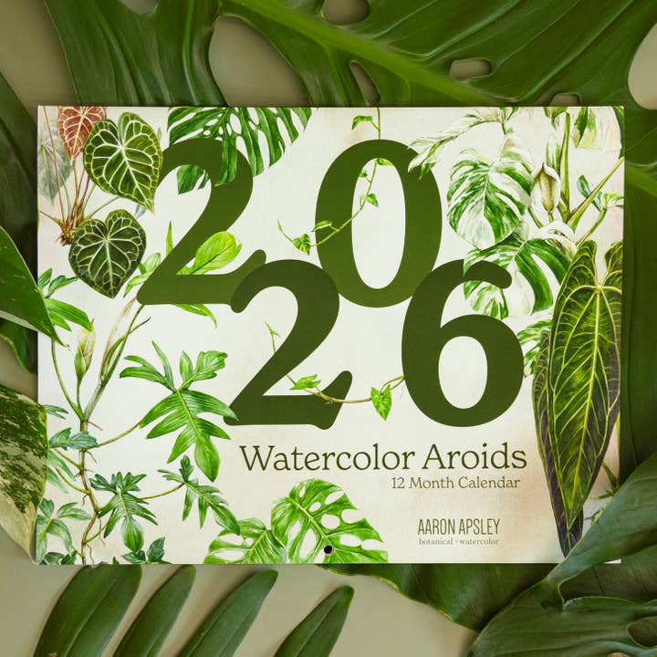 Aaron Apsley Artwork - Wholesale Calendar - 2026 Aroid Wall Calendar0