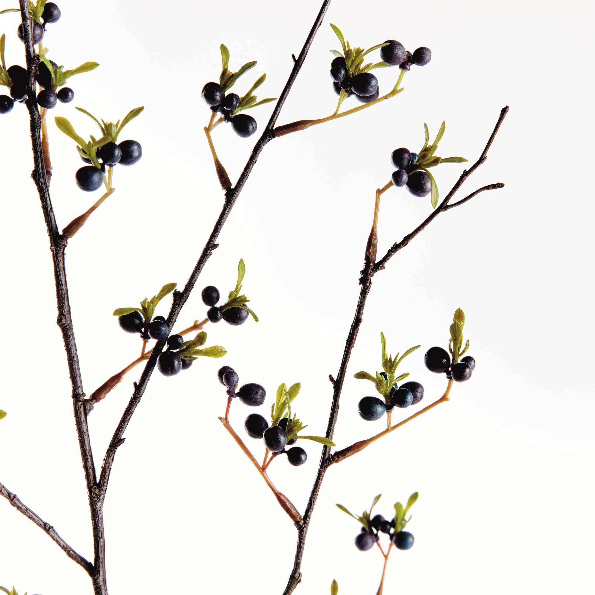 Napa Home & Garden - Vente Plantes artificielles - Branche de Baies Sombres 41,5" - Bleu Foncé2
