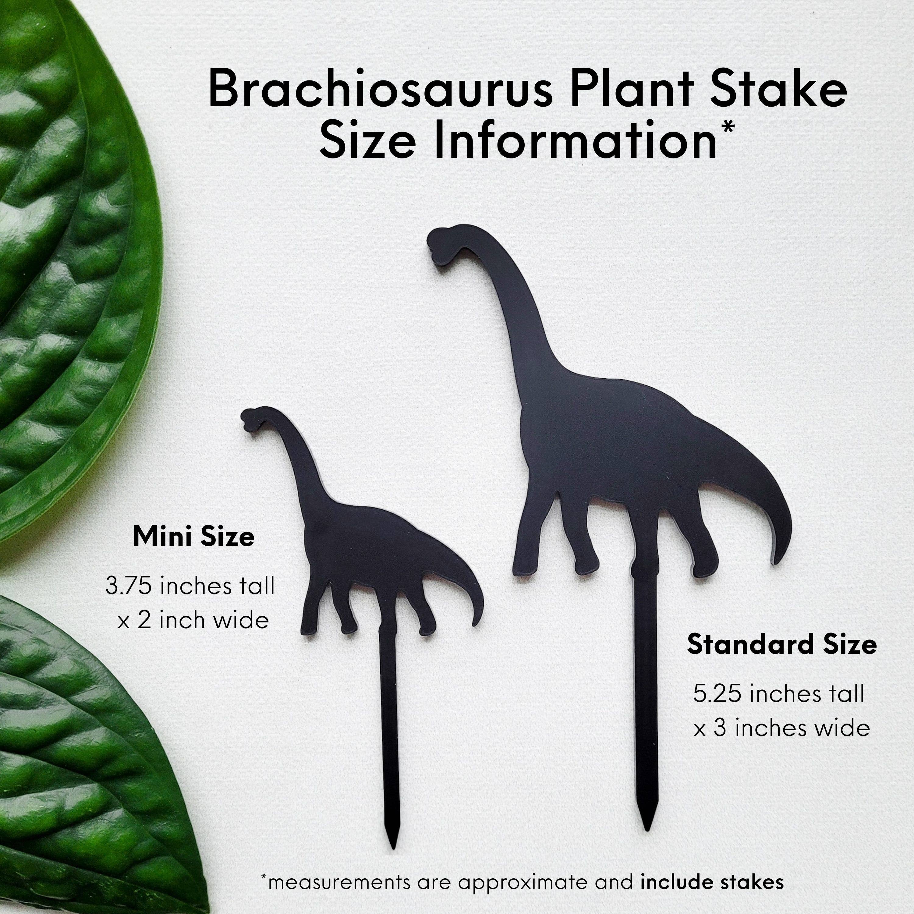 Leaf & Node - Wholesale Plant Pot - Dinosaur Indoor Plant Accessory Stake - Brachiosaurus3