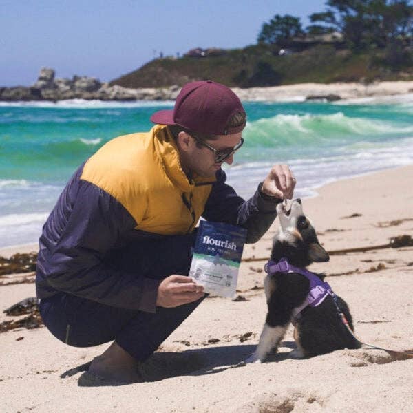 Furvor - Wholesale Pet Treats - Dog - Freeze Dried Raw Minnows - 1oz6