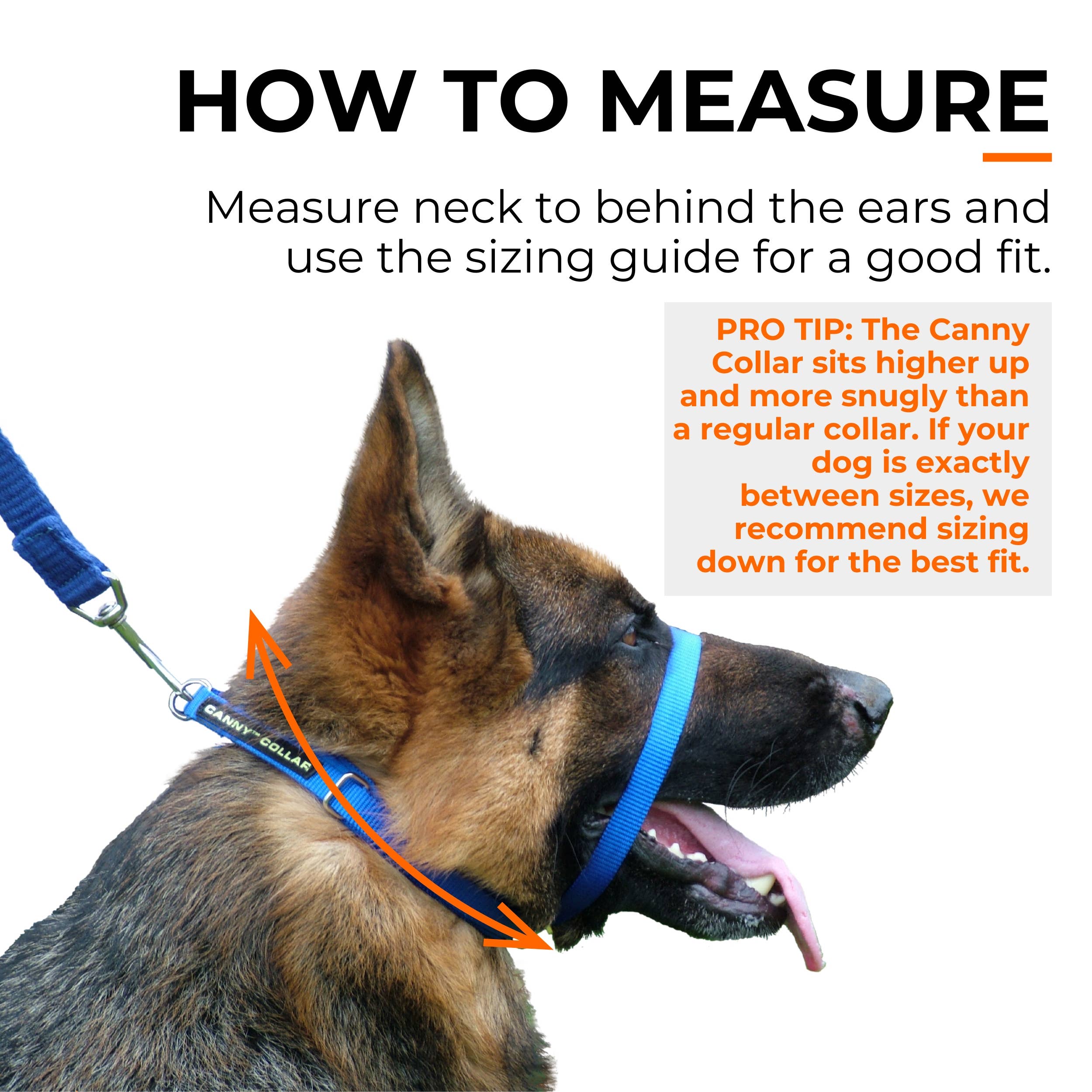 The Canny Company – wholesale Pet collar – Dog – Canny Collar No Pull Dog Headcollar | Gentle, Kind, Comfy14