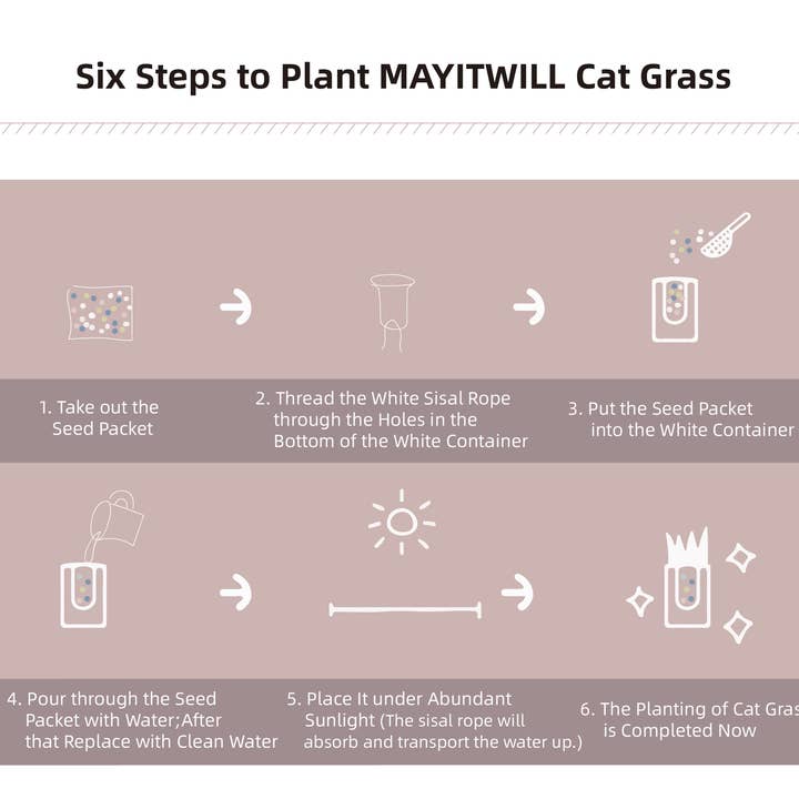 MichuPet - Wholesale Pet Food - Cat - MAYITWILL All in One Soil Free Cat Grass Grow Kit