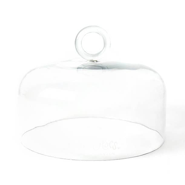 Large Ring Handle Glass Dome for wholesale by Coton Colors