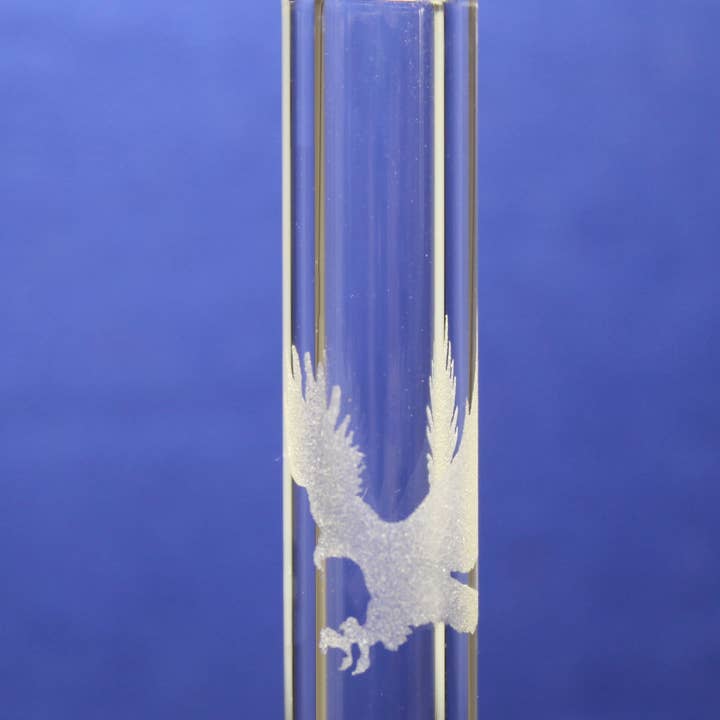 Paille en verre gravée Aigle avec brosse de nettoyage pour la vente par DrinkingStraws.Glass LLC