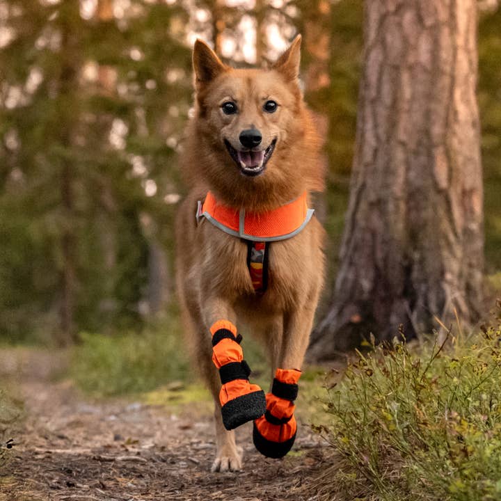 FINNERO - Wholesale Pet Vest - Dog - FINNERO ATTE Reflective Dog Attention Vest, 3 colors8