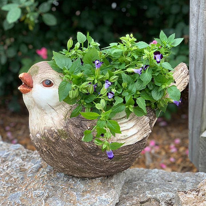 Mini Singing Bird Planter for wholesale by RCS Gifts