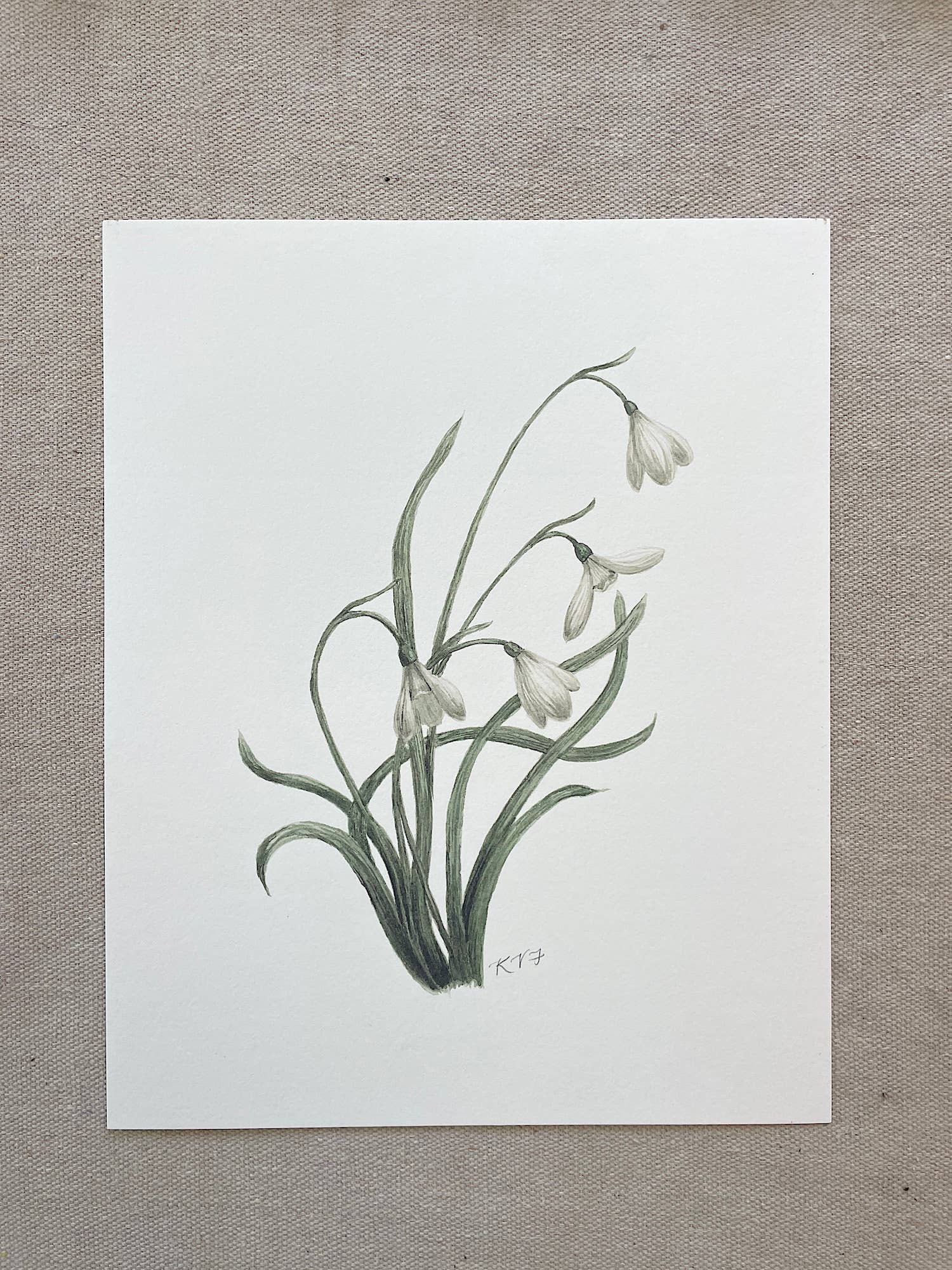 Kara Valentino Ffield Art - Wholesale Art Print - Snowdrops | Watercolor Art Print 7